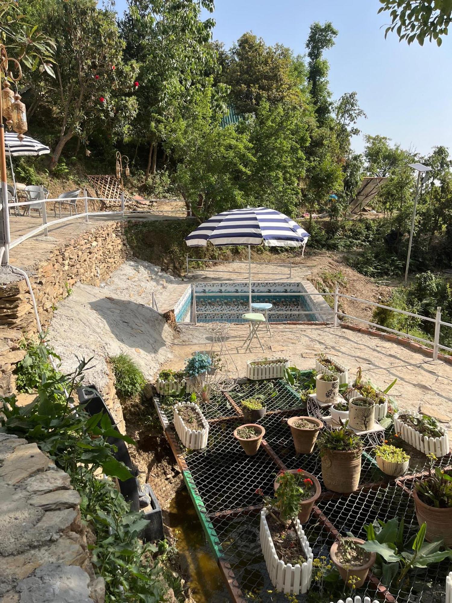 The Rare One'S Mukteshwar - Resort & Cafe Bagian luar foto